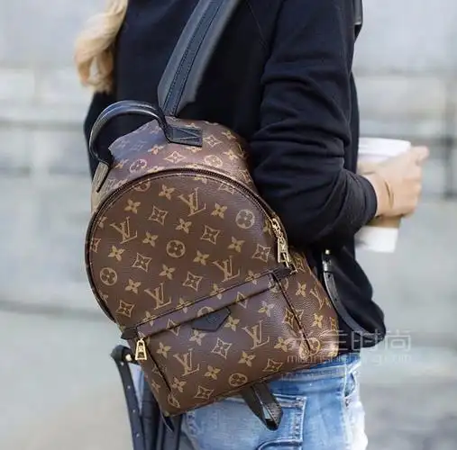 lv路易威登经典款小号背包女老花时尚双肩包m41560