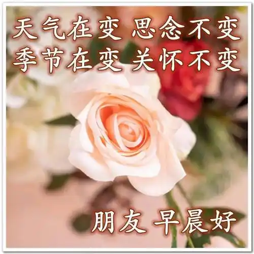 8张夏日最美风景早上好图片带字带祝福语 免打字聊天的清晨早安问候