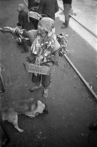 1942年饥饿中的中国 哀鸿遍野触目惊心(图)【25】