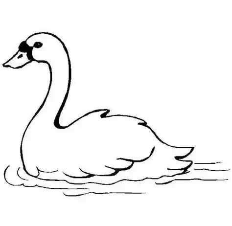 鹅的简笔画 鹅的简笔画儿童简笔画