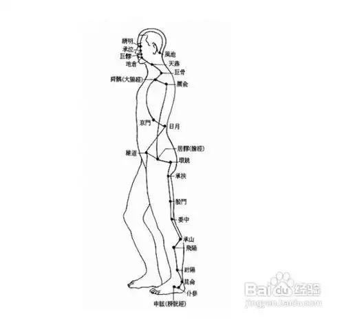 中医经络知识:[6]阳跷脉图解