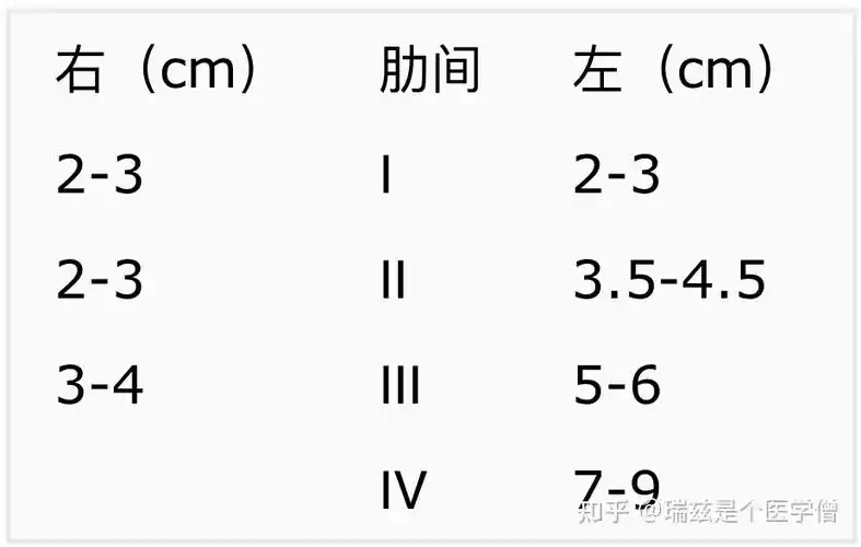 "心脏叩诊"的"相对浊音界"和"绝对浊音界"!