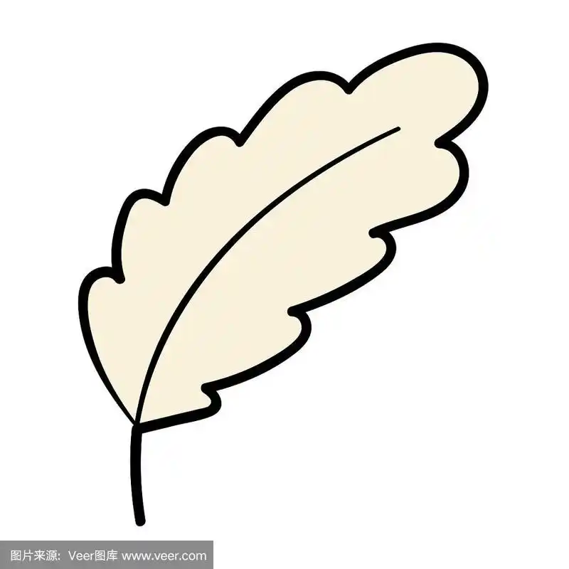 涂鸦线状羽毛孤立在白色背景上.矢量插图.