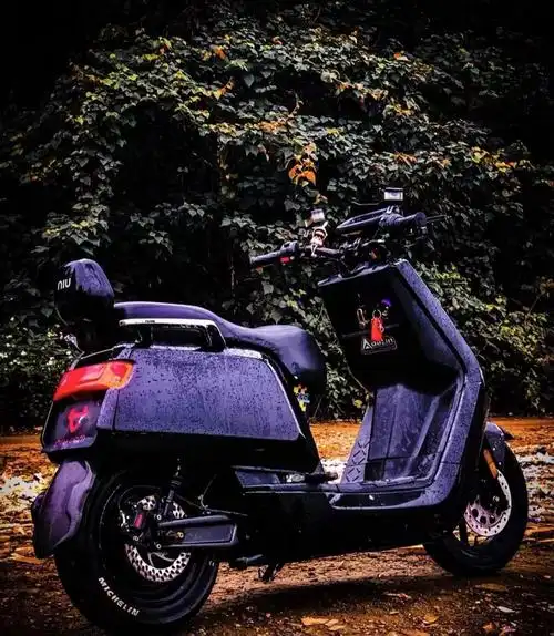 小牛电动车n1/n1s nqi全套纯色水泥灰拉花车壳改装烤漆定制外壳 天蓝