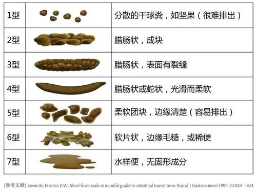 一受凉就拉肚子,真的是肚脐眼儿受风了吗?