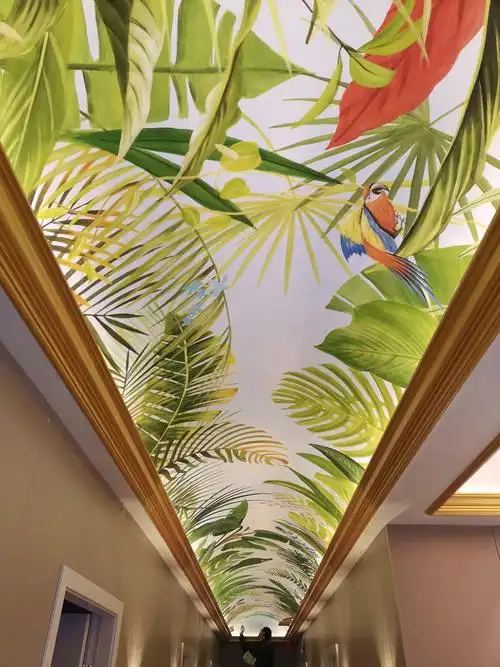 苏州地面墙面顶部彩绘涂鸦墙画