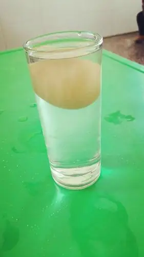 其它 科学实验:鸡蛋的沉与浮 写美篇鸡蛋浮起来有一个过程,盐放得少