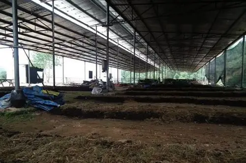 蚯蚓养殖加盟合作靠谱吗