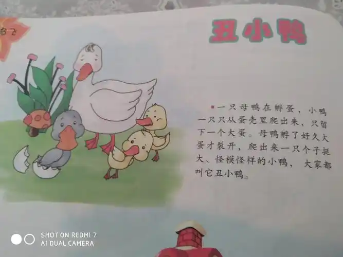 "停课不停学"万山幼儿园中班假期指导活动——绘本故事《丑小鸭》