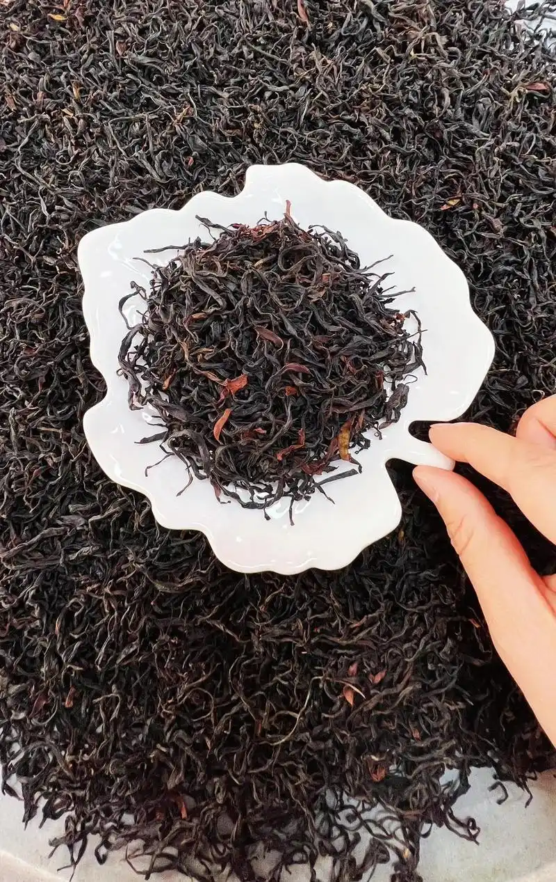野生古树红茶-- 够野.够味.够纯.够甜. 山野气息浓郁 - 抖音