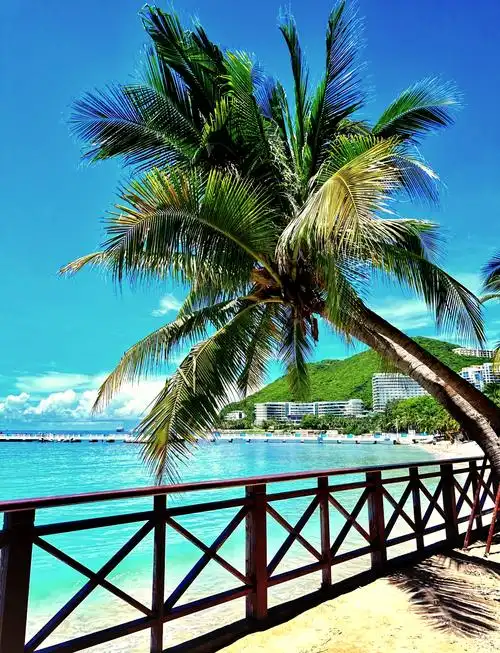 去三亚旅游一周需要多少钱