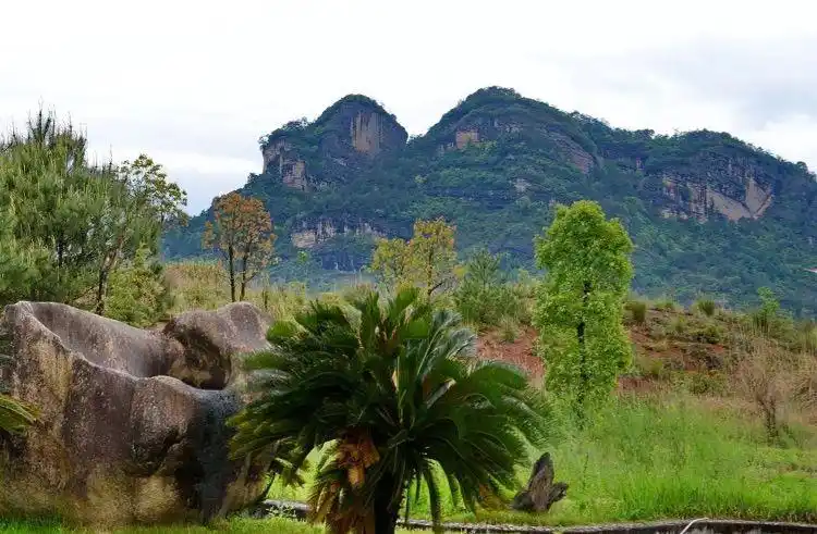 武夷山桐木关自然保护区之旅