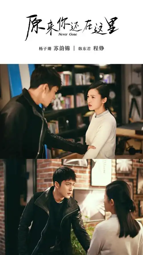 原来你还在这里主演海报图片
