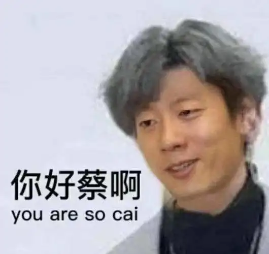 你好蔡啊(好骚男孩洪世贤 蔡徐坤 you are so cai )