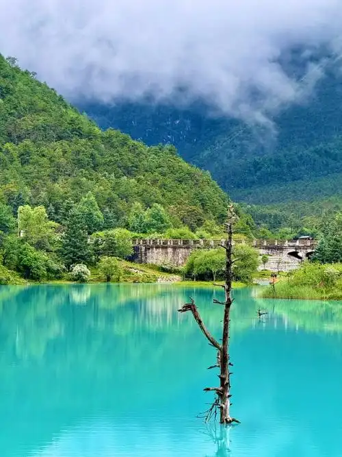 在路上##最美丽的风景永远在路上##丽江玉龙雪山风景区##云南旅行