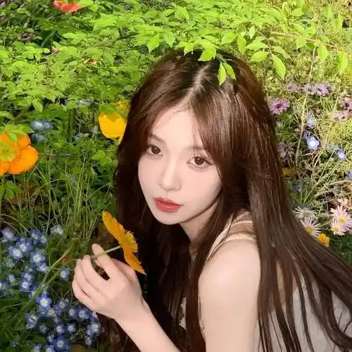 头像 | 高级感拉满的微信头像