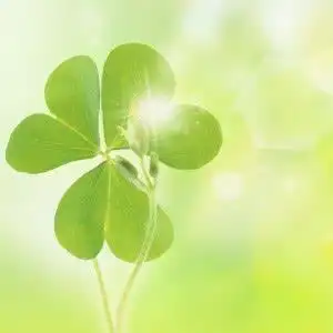 自信正能量头像高清好看的阳光正能量的微信头像图片