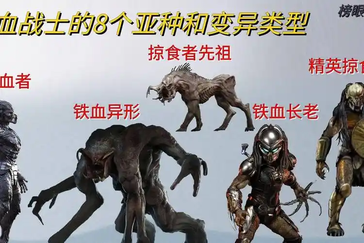 一个视频看懂铁血战士,8个变异类型和亚种,包括铁血战士的祖先_亚种