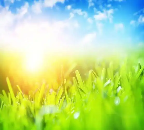 秋天天气好心情好的说说 | 主题屋-祝福语励志录大全