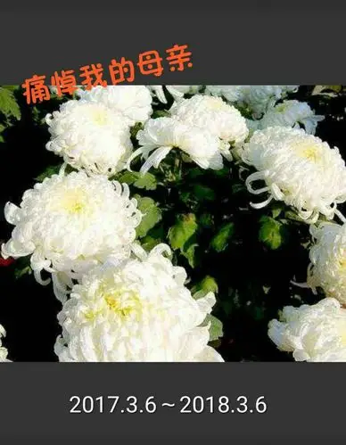 谨作此篇纪念我已逝的慈母,送上我们的怀念,愿天堂的娘亲安好.