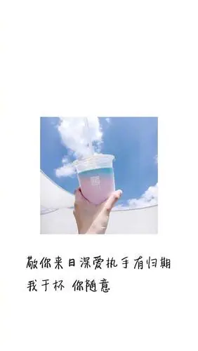 唯美意境文字语录