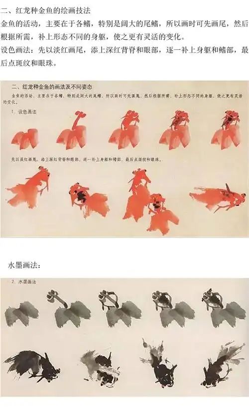 国画入门:金鱼步骤图