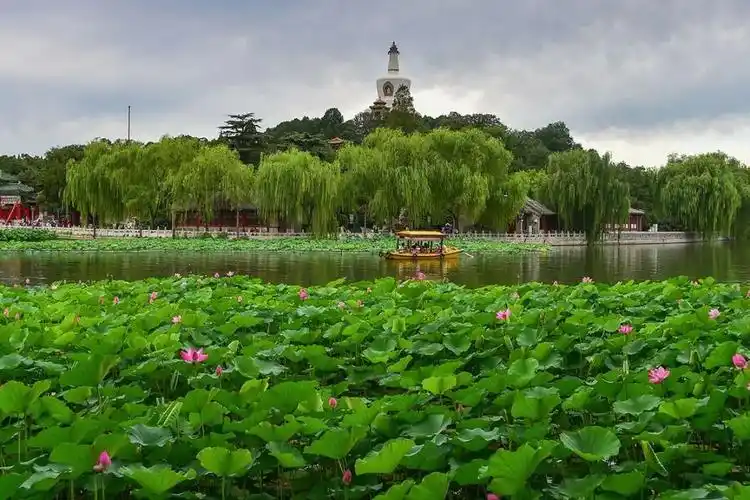 北海公园春天赏花好看吗