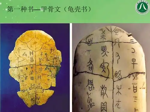 幼儿园图书的演变