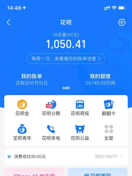 花呗额度大概还有450