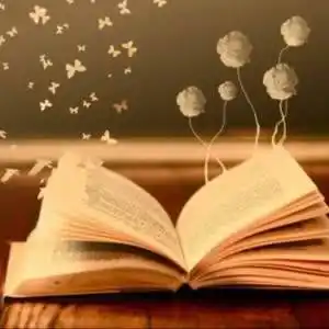 文静女生看书头像图片 书本图片大全简单漂亮 - 微信头像 - 潮人个性