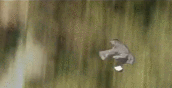 模仿孙悟空拍jk制服,是当代小红书女孩的自信密码|猴哥|二次元_网易