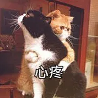 心疼你1秒钟表情包【点击鼠标右键下载】