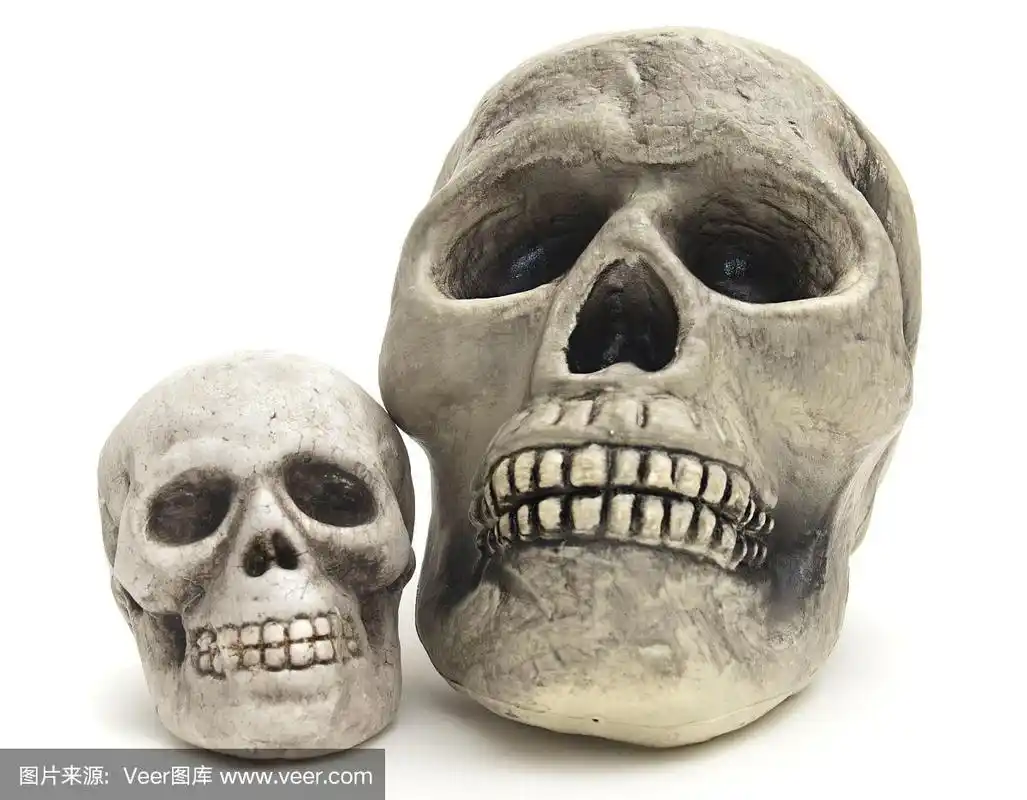 两个骷髅万圣节在白色