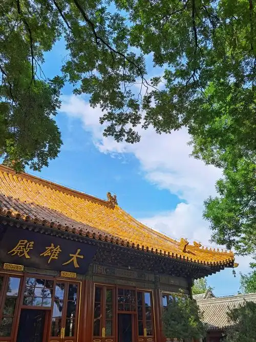 北京广济寺 - 大阳top - 图虫
