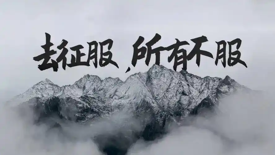 视频_发布会_利兄