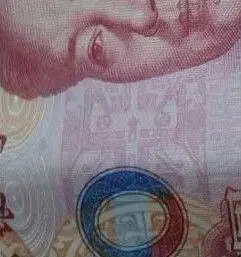 2012年2月,有网友发帖称,第五代100元人民币正面经放大后发现几只"