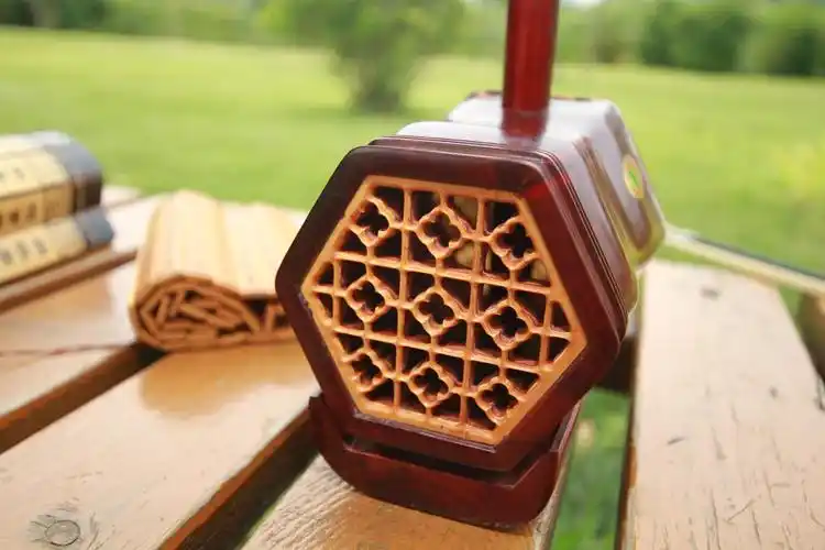 严洁敏二胡独奏远方的客人请你留下来人美琴声更美