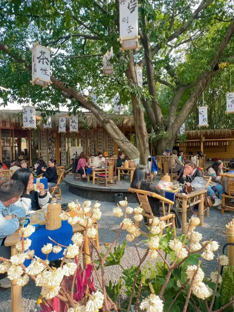 成都人真的太懂得享受了99周末茶馆全是人.