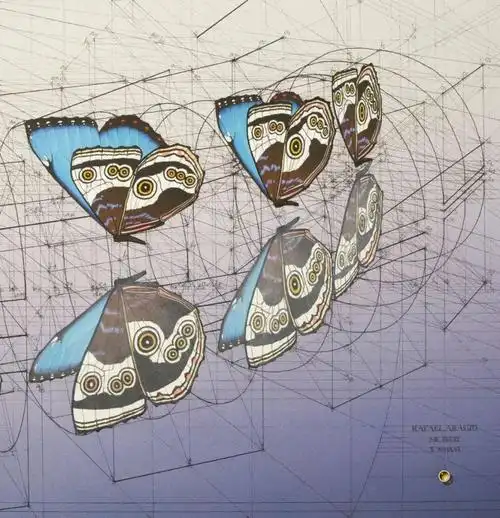 因为在他看来,其中画的最多的就是蝴蝶以及蝴蝶的飞行轨迹,画出了一幅