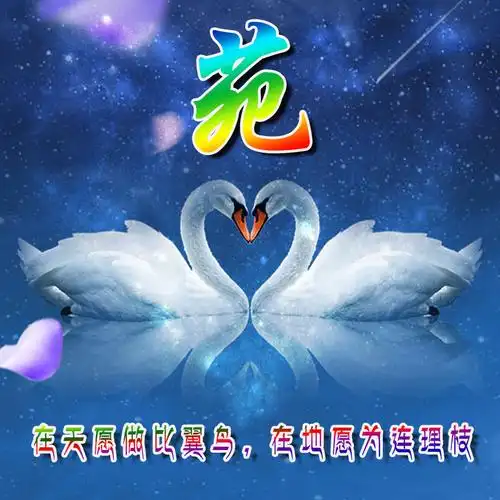 【编号03】梦幻天鹅,唯美爱情,25个姓氏-头像,百家姓氏头像