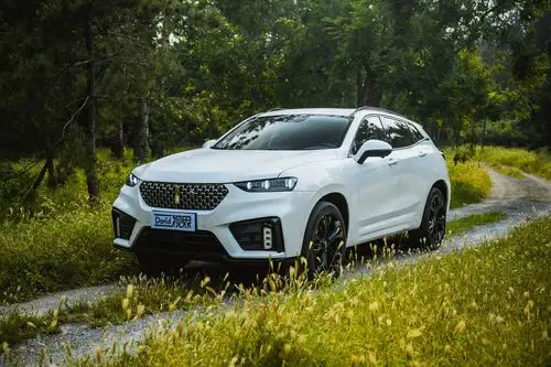 科技再次进阶 试驾wey vv7科技版