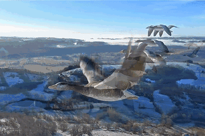 400_267gif 动态图 动图