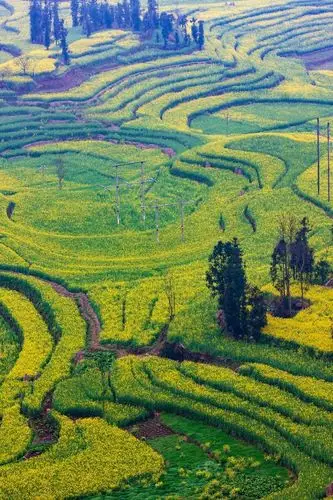 2021年这10个最火赏花地一个也不能错过