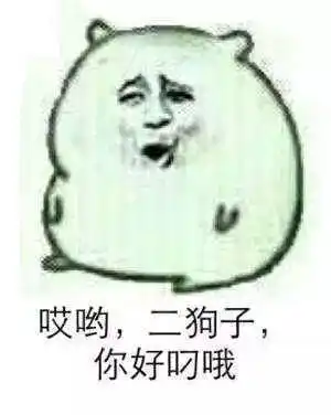 家有儿女表情包神经杨紫