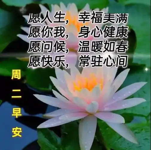 最新周二早上好表情图片大全不忘的朋友每天想起真诚的问候永远有你
