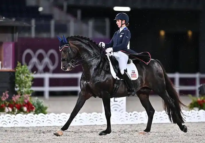 马术——盛装舞步赛况_比赛