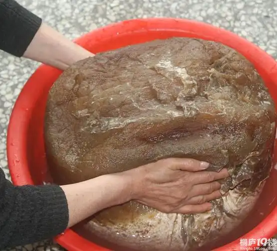 太岁是生物吗?它有生命吗?会动吗_百度知道