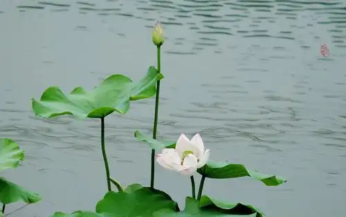 画意摄影:浓墨淡彩心中景