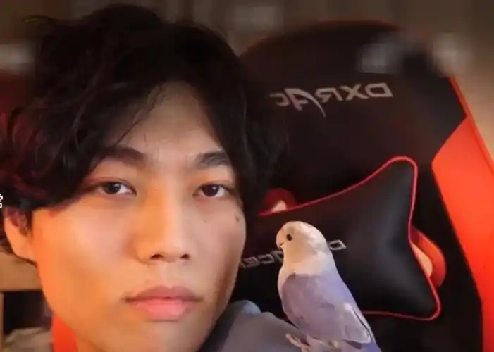 某幻花少北lex老番茄中国boy