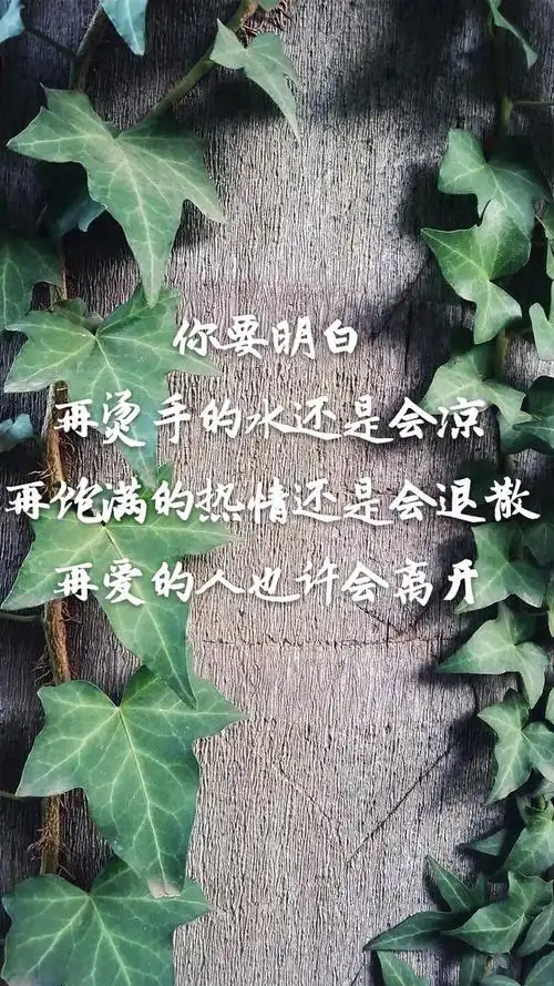 如果有一天我真的不再去在乎你和别人怎样那我们就结束了